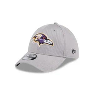 Discount Baltimore Ravens Active 39THIRTY Stretch Fit Hat - KTGCaps - Baseball caps for various teams, purchased online at a discount