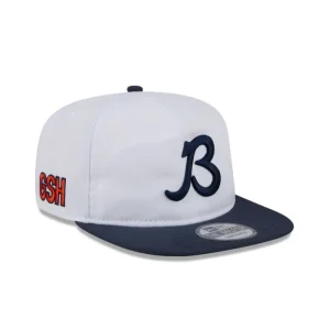 Hot Chicago Bears 2024 Training Golfer Hat - KTGCaps - Baseball caps for various teams, purchased online at a discount