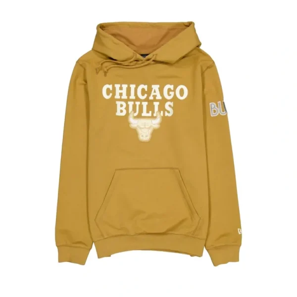 Online Chicago Bulls 2024 City Edition Hoodie - KTGCaps - Baseball caps for various teams, purchased online at a discount