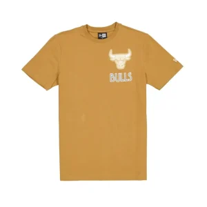 Flash Sale Chicago Bulls 2024 City Edition TShirt - KTGCaps - Baseball caps for various teams, purchased online at a discount