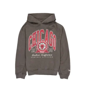 Discount Chicago Bulls Oversized Essentials Hoodie - KTGCaps - Baseball caps for various teams, purchased online at a discount