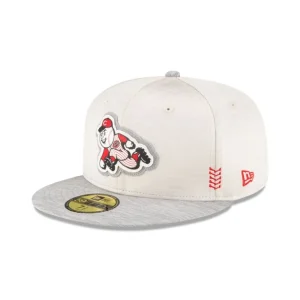 Flash Sale Cincinnati Reds 2024 Clubhouse Stone 59FIFTY Fitted Hat - KTGCaps - Baseball caps for various teams, purchased online at a discount