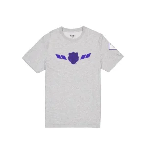 Discount Detroit Tigers City Connect Gray TShirt - KTGCaps - Baseball caps for various teams, purchased online at a discount