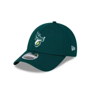 Clearance Edmonton Elks Team 9FORTY Snapback Hat - KTGCaps - Baseball caps for various teams, purchased online at a discount