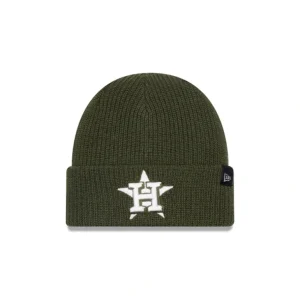 Discount Houston Astros Green Merino Wool Knit Beanie - KTGCaps - Baseball caps for various teams, purchased online at a discount