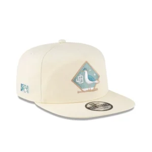 Discount Jacksonville Beach Sea Birds Chrome Golfer Hat - KTGCaps - Baseball caps for various teams, purchased online at a discount