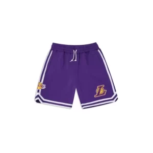 Caps* Los Angeles Lakers Logo Select Shorts - KTGCaps - Baseball caps for various teams, purchased online at a discount